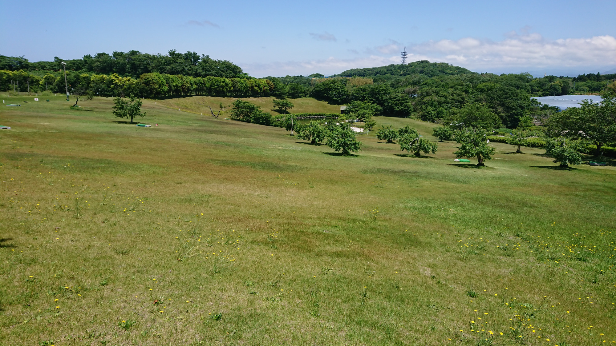 写真提供：加賀フルーツランド